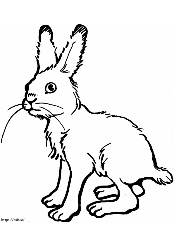 Lievre coloring page