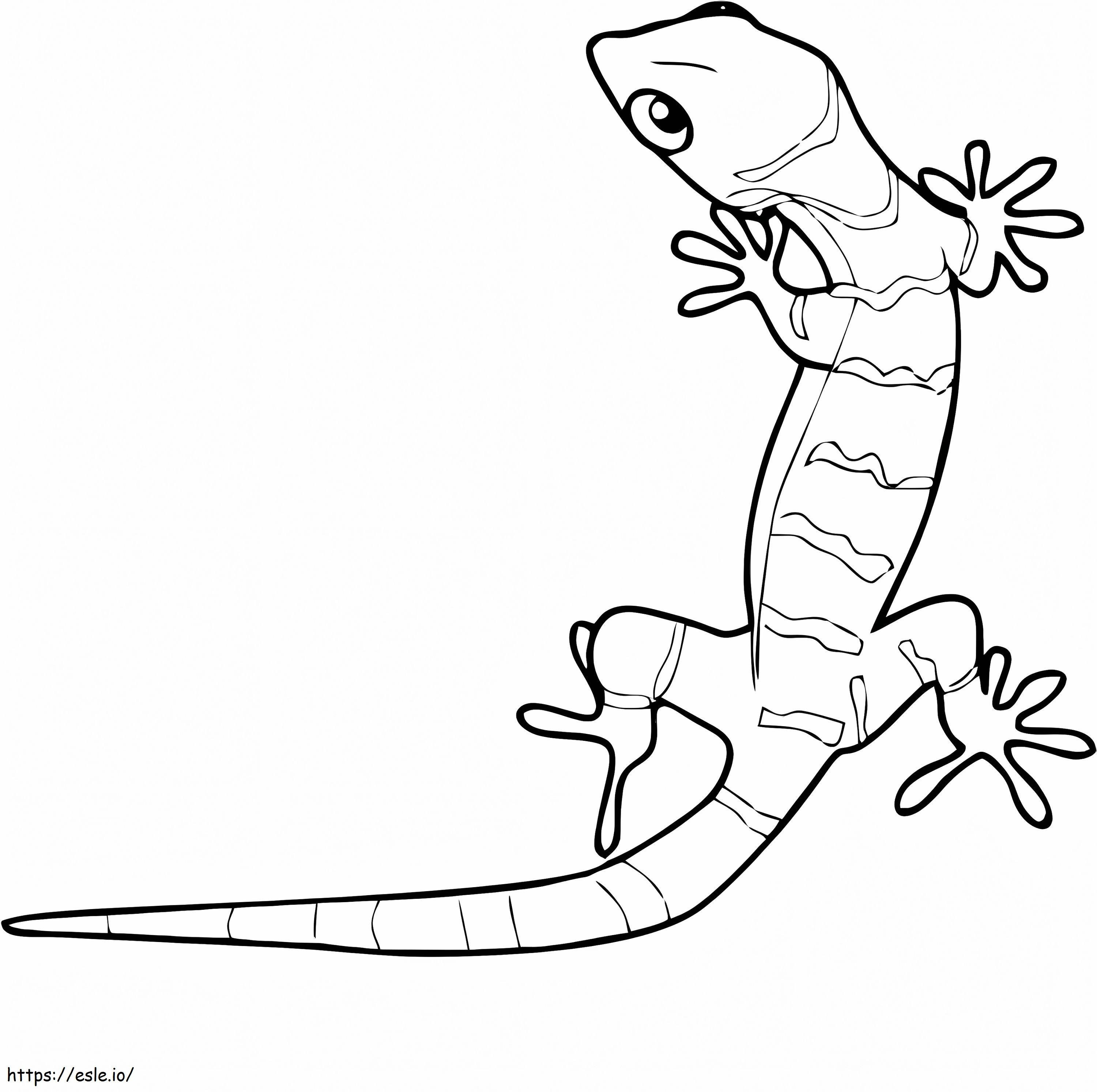 Minunat Gecko de colorat