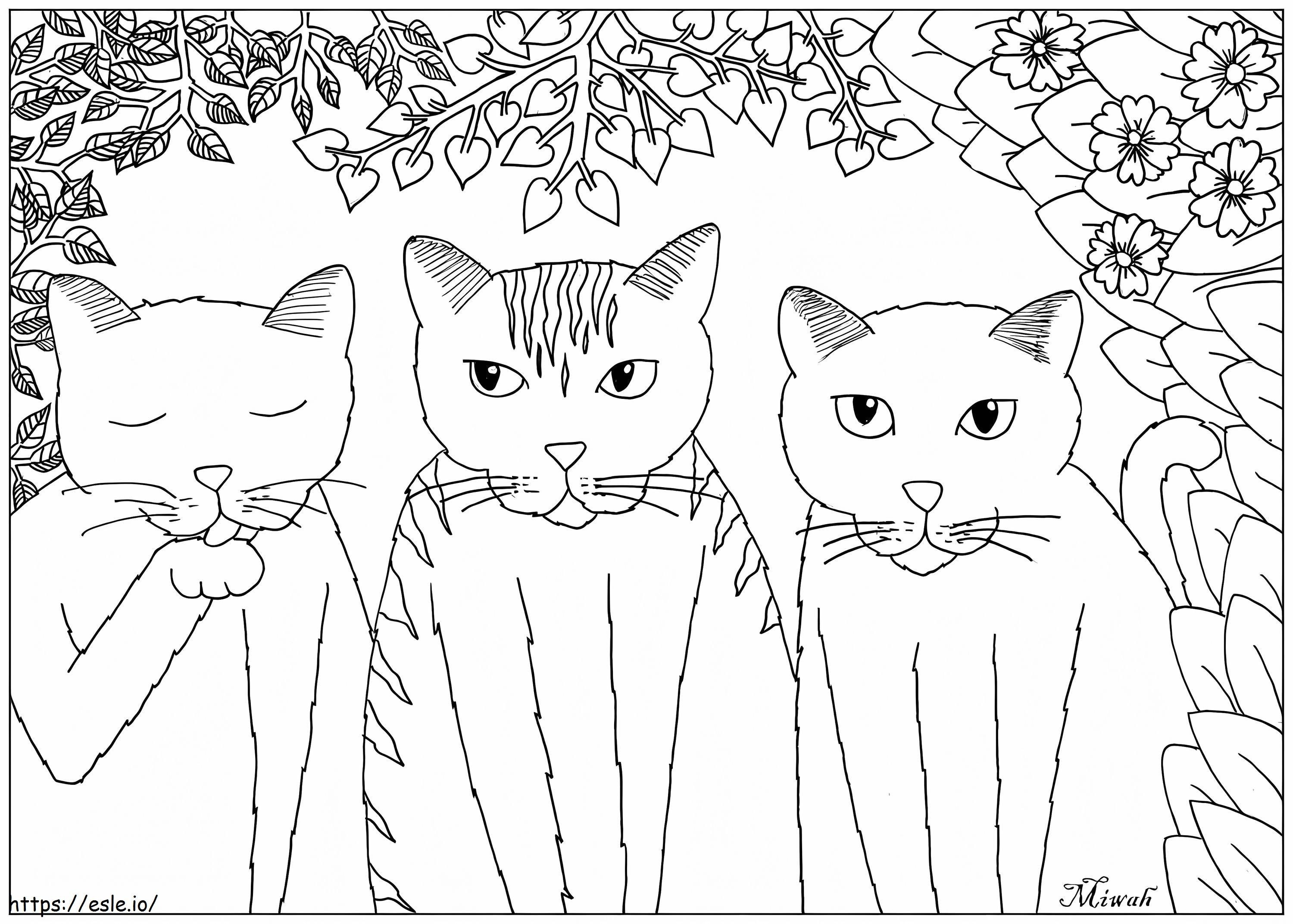 Trei Pisici de colorat