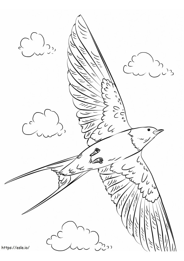 Barn Swallow Flying coloring page