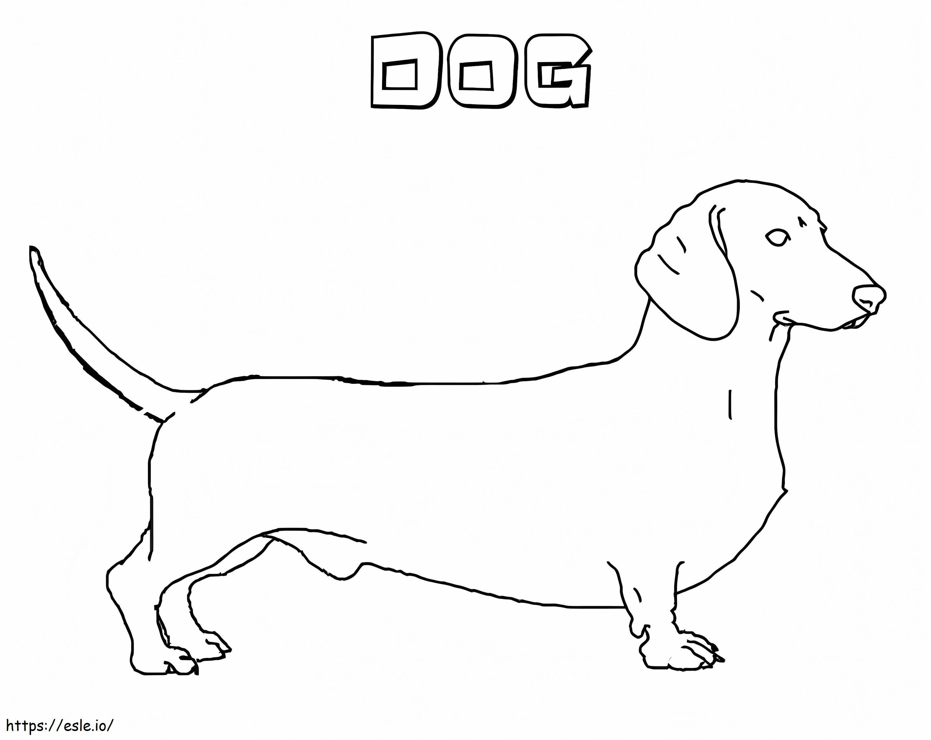 Dachshund Dog 1 coloring page