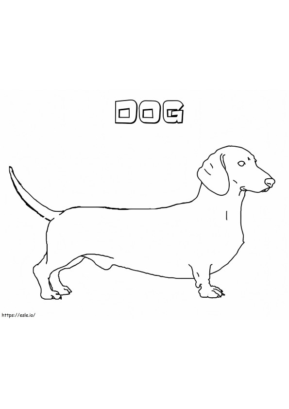 Dachshund Dog 1 coloring page