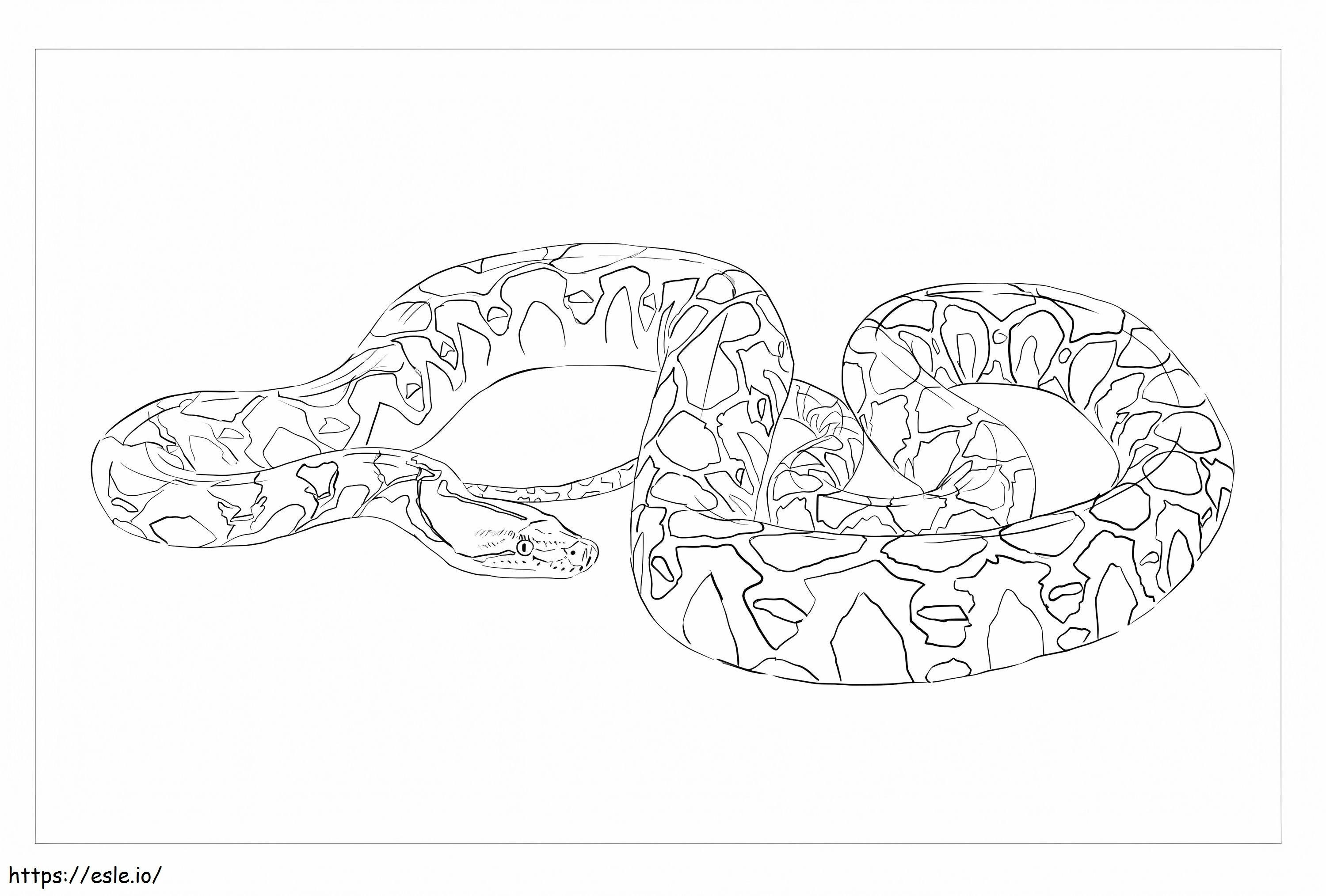 Coloriage Python réticulé à imprimer dessin