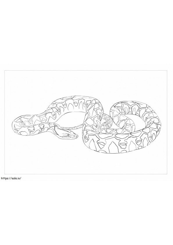 Netvormige python kleurplaat