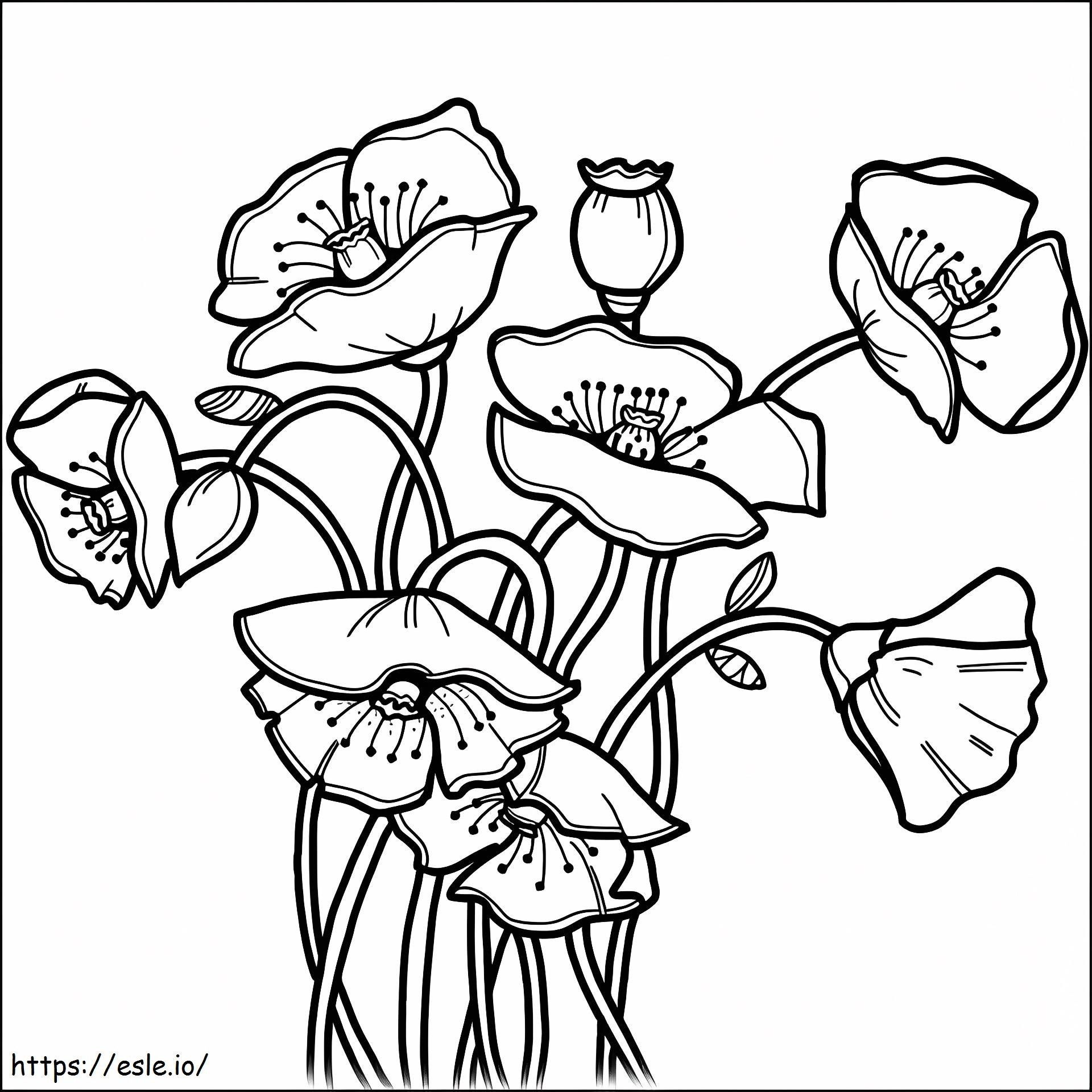 Poppy 1 coloring page
