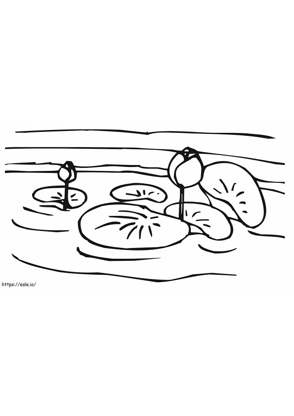 Coloriage Nénuphar dans un lac à imprimer dessin