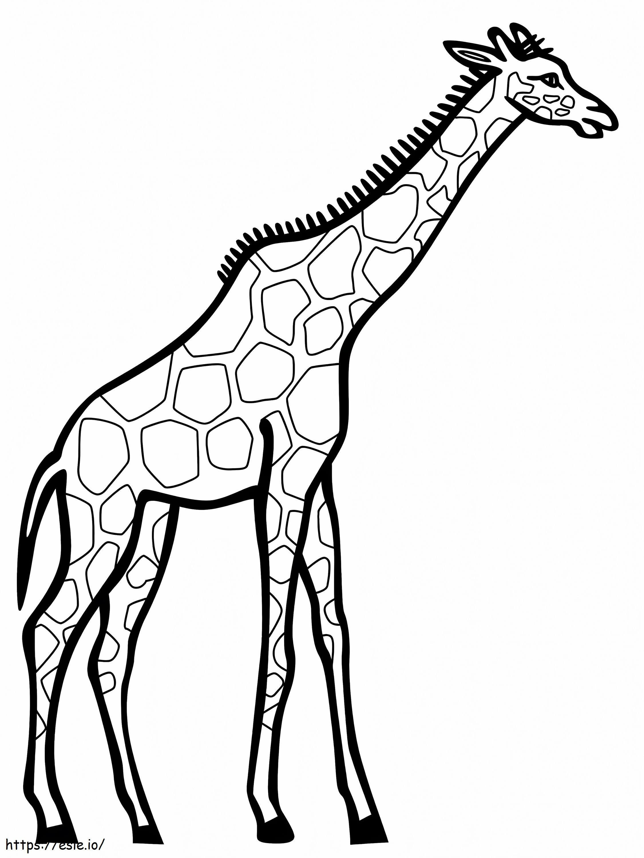 Afdrukbare giraf kleurplaat kleurplaat