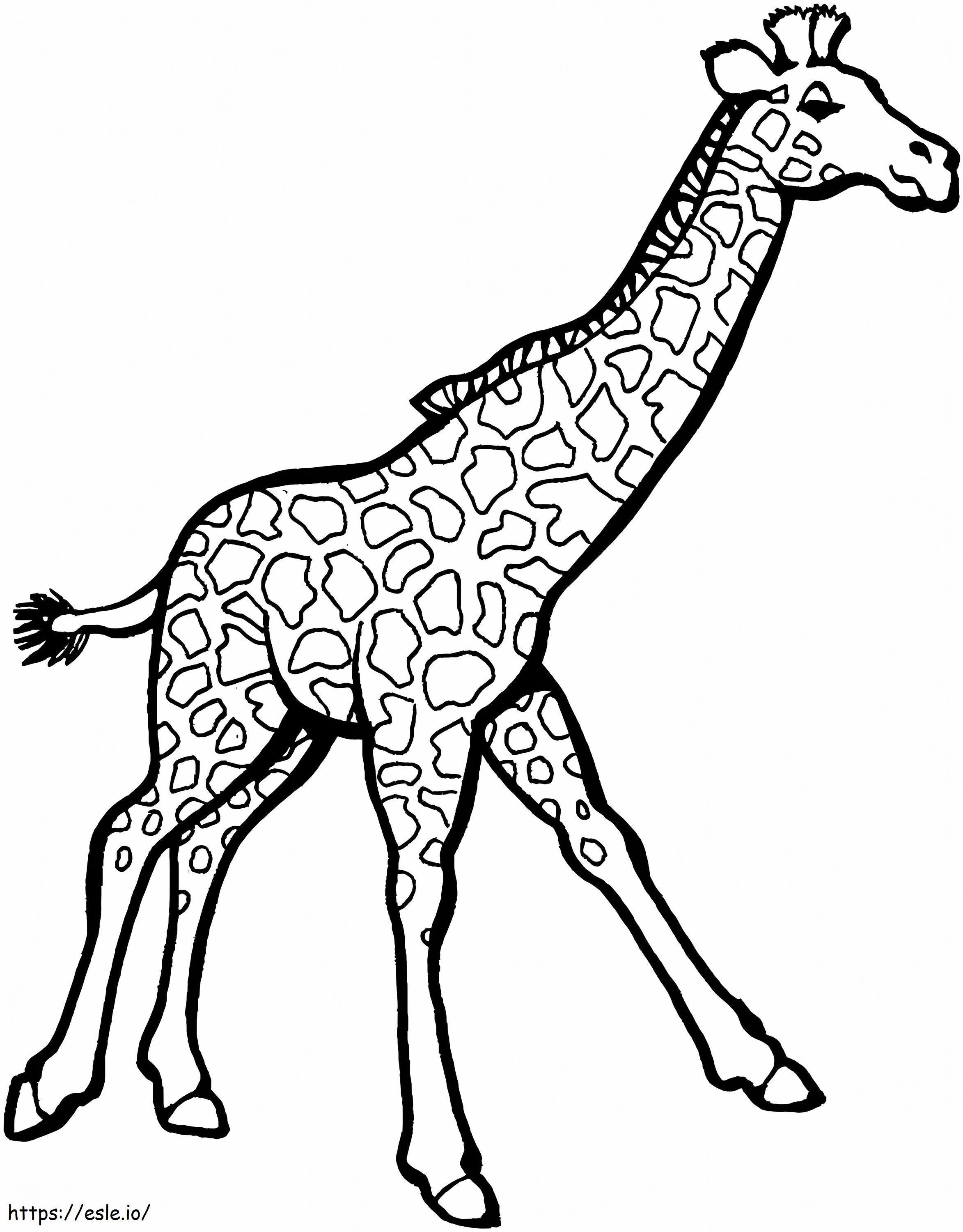girafa normal para colorir