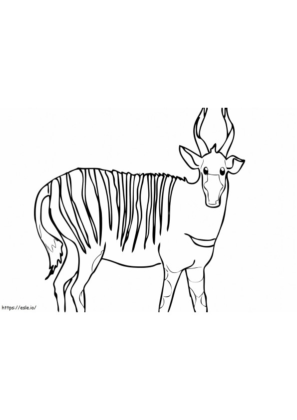 Antilopa Bongo de colorat