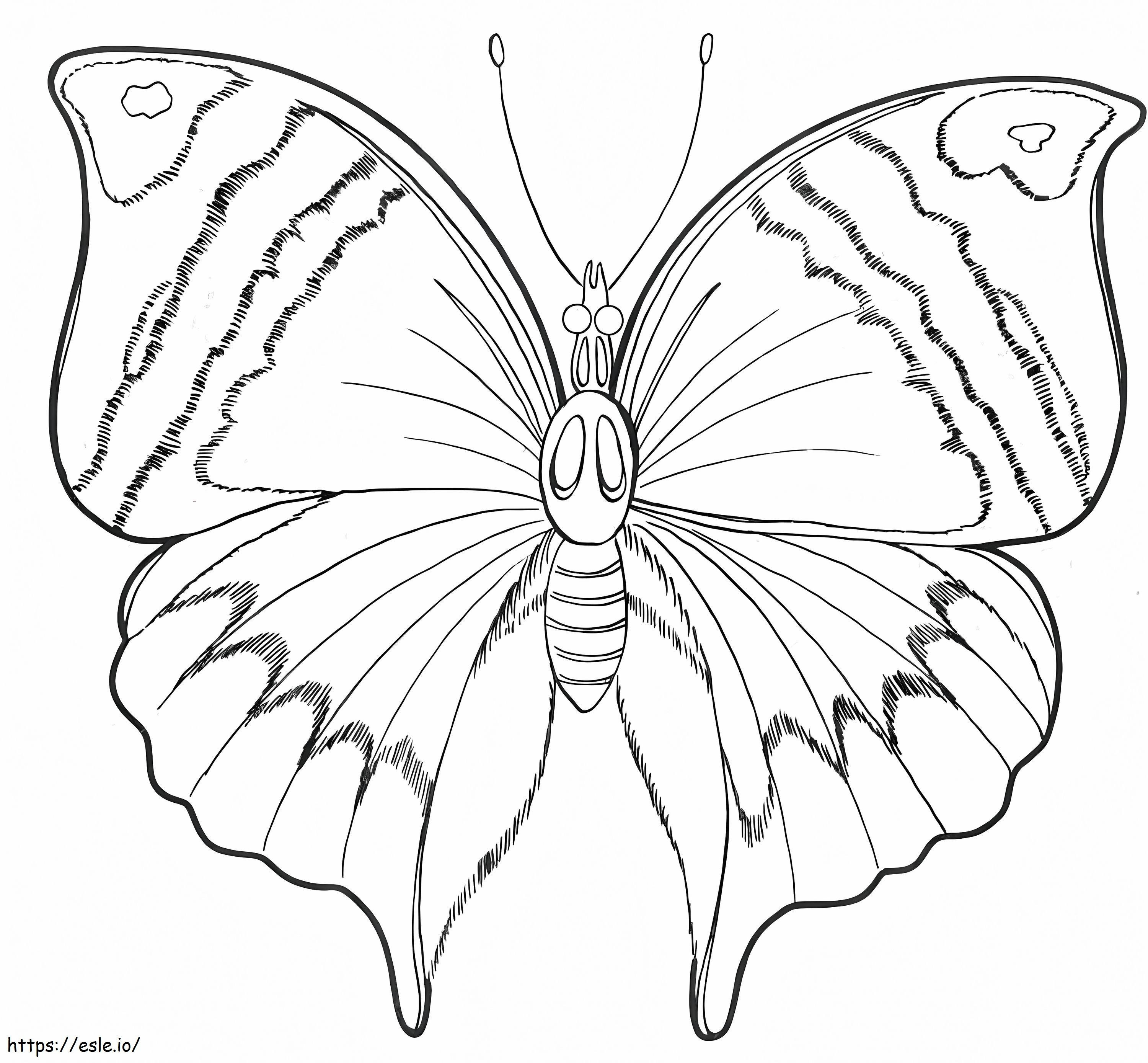 Coloriage Un papillon normal à imprimer dessin