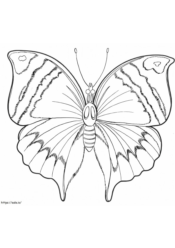 Normál pillangó kifestő
