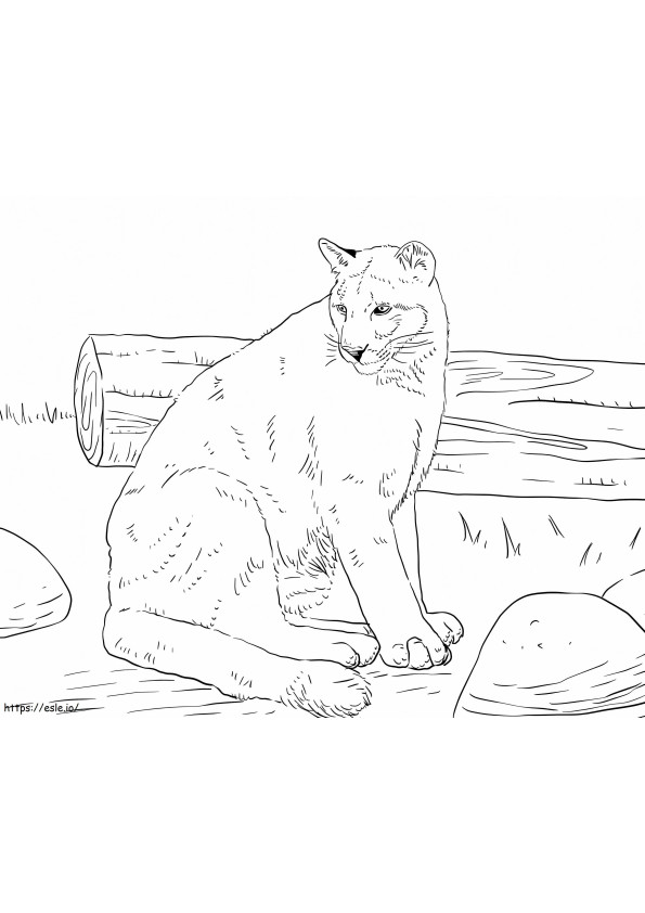 Cougar Sitting coloring page