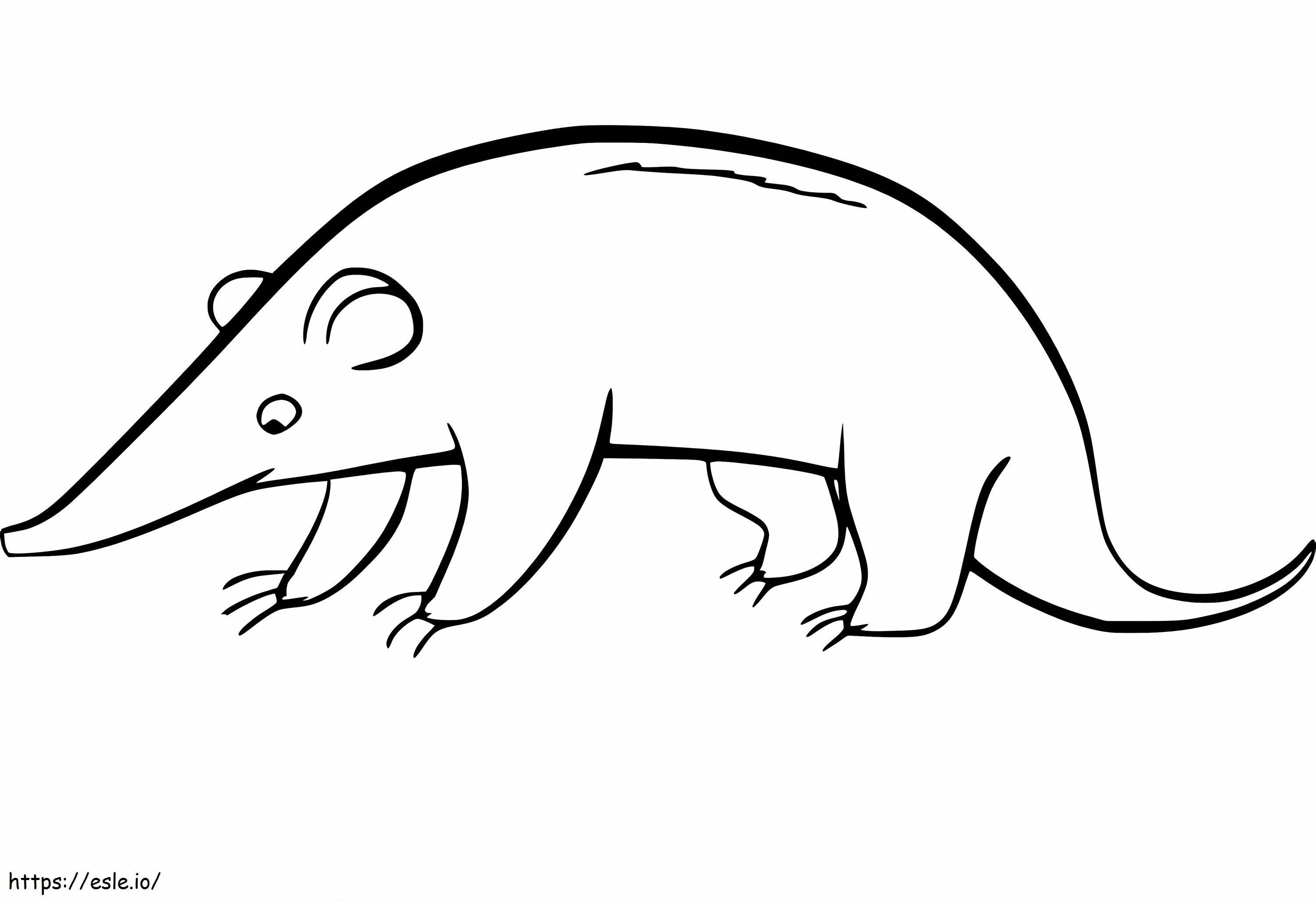 Little Shrew coloring page