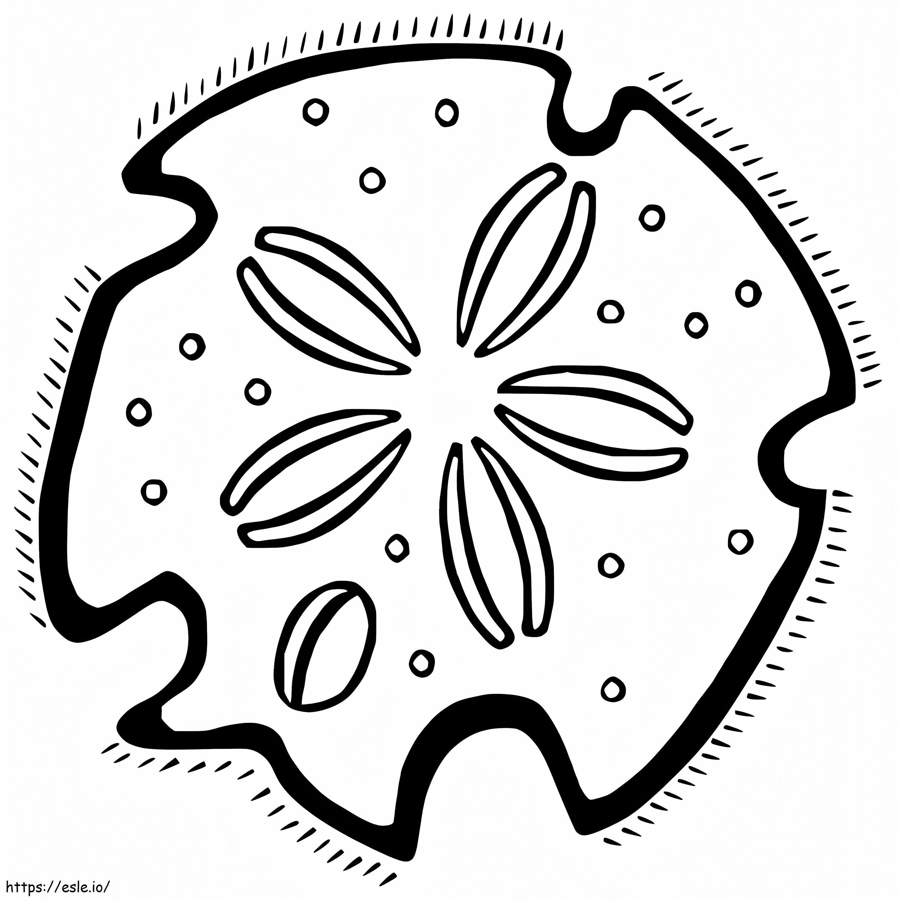 Sand Dollar 9 coloring page