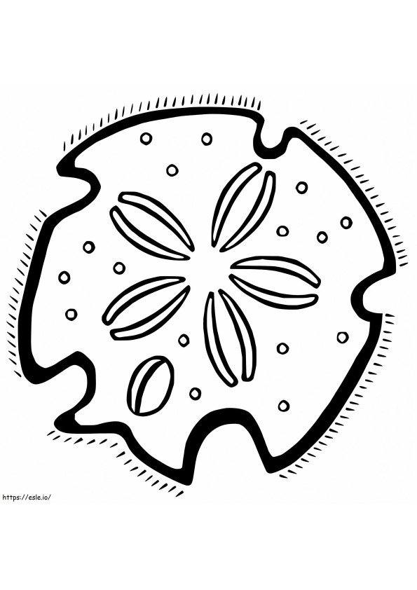 Sand Dollar 9 coloring page