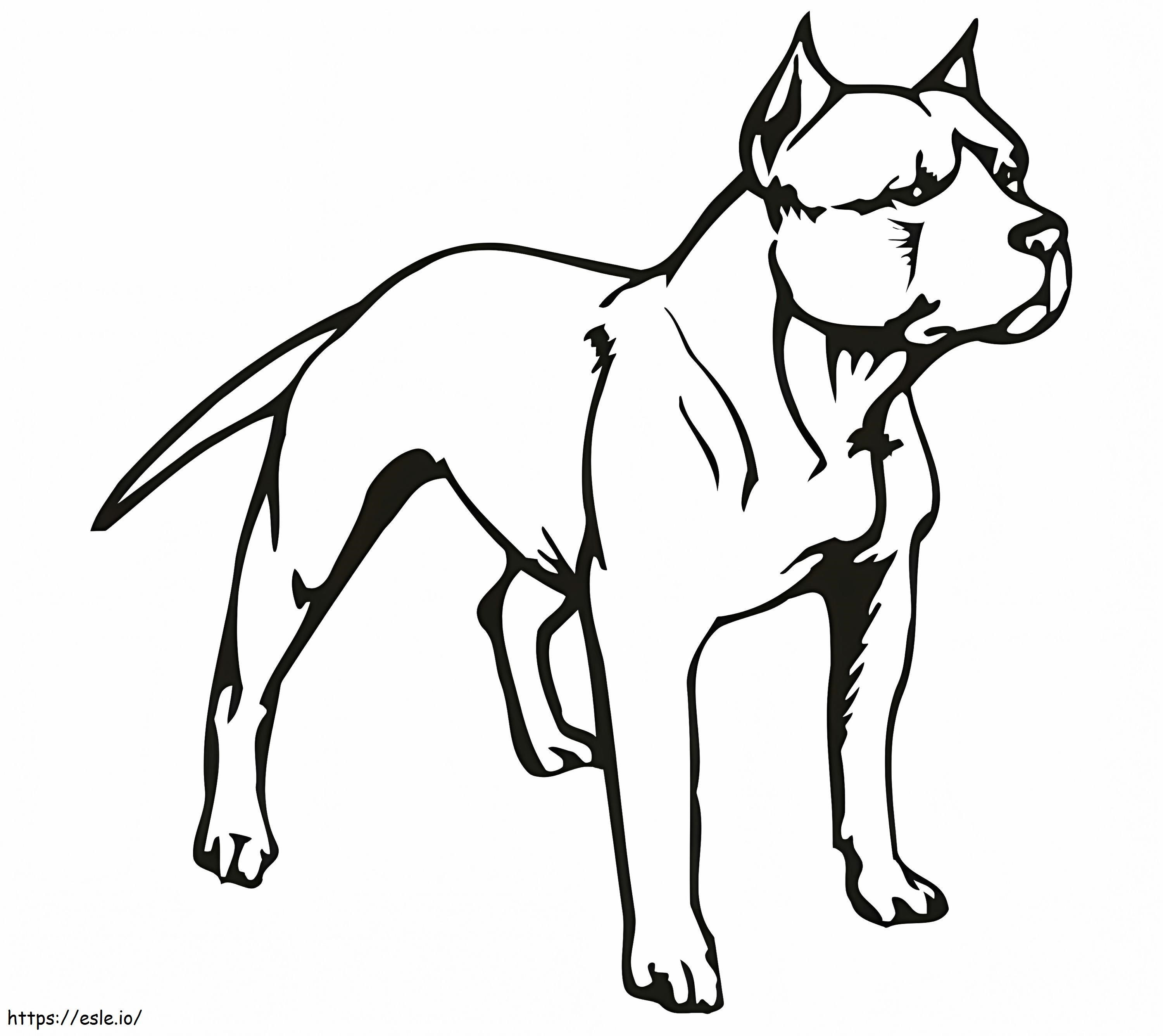 cão pitbull para colorir