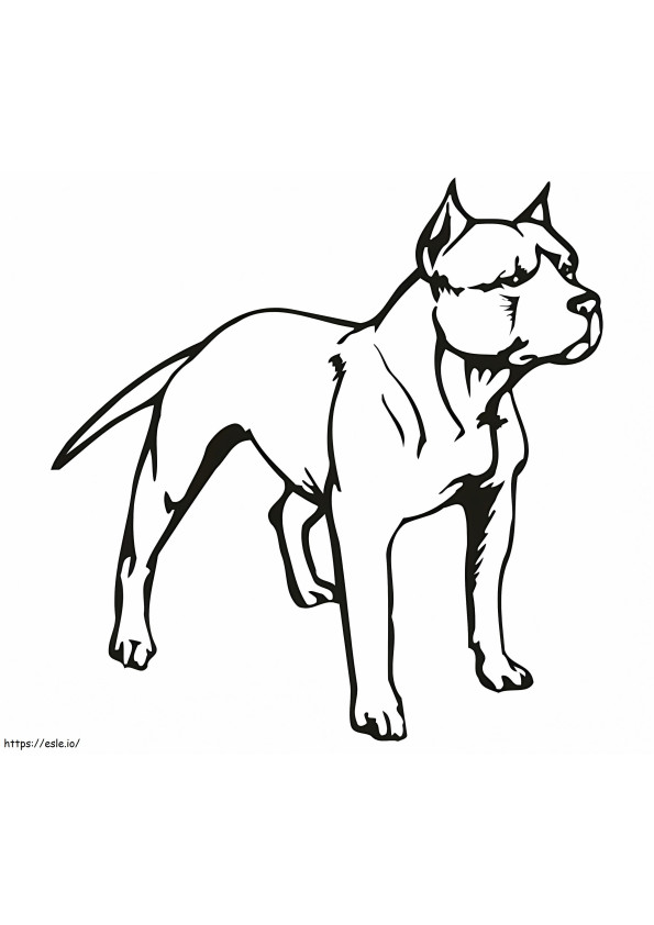 Pitbull-Hund ausmalbilder