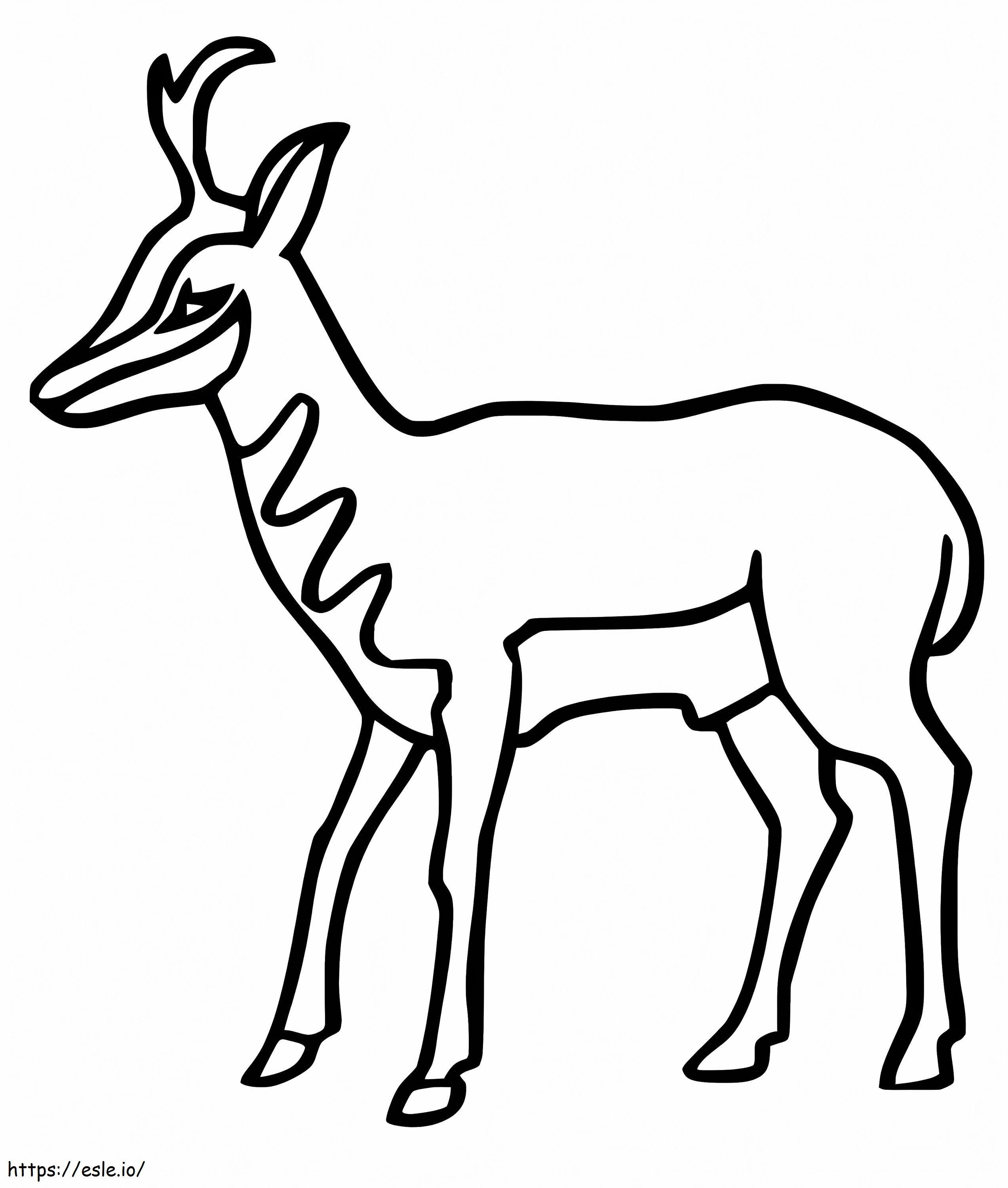 Yksinkertainen Pronghorn värityskuva