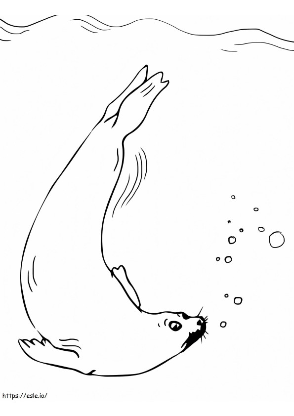 Fur Seal coloring page
