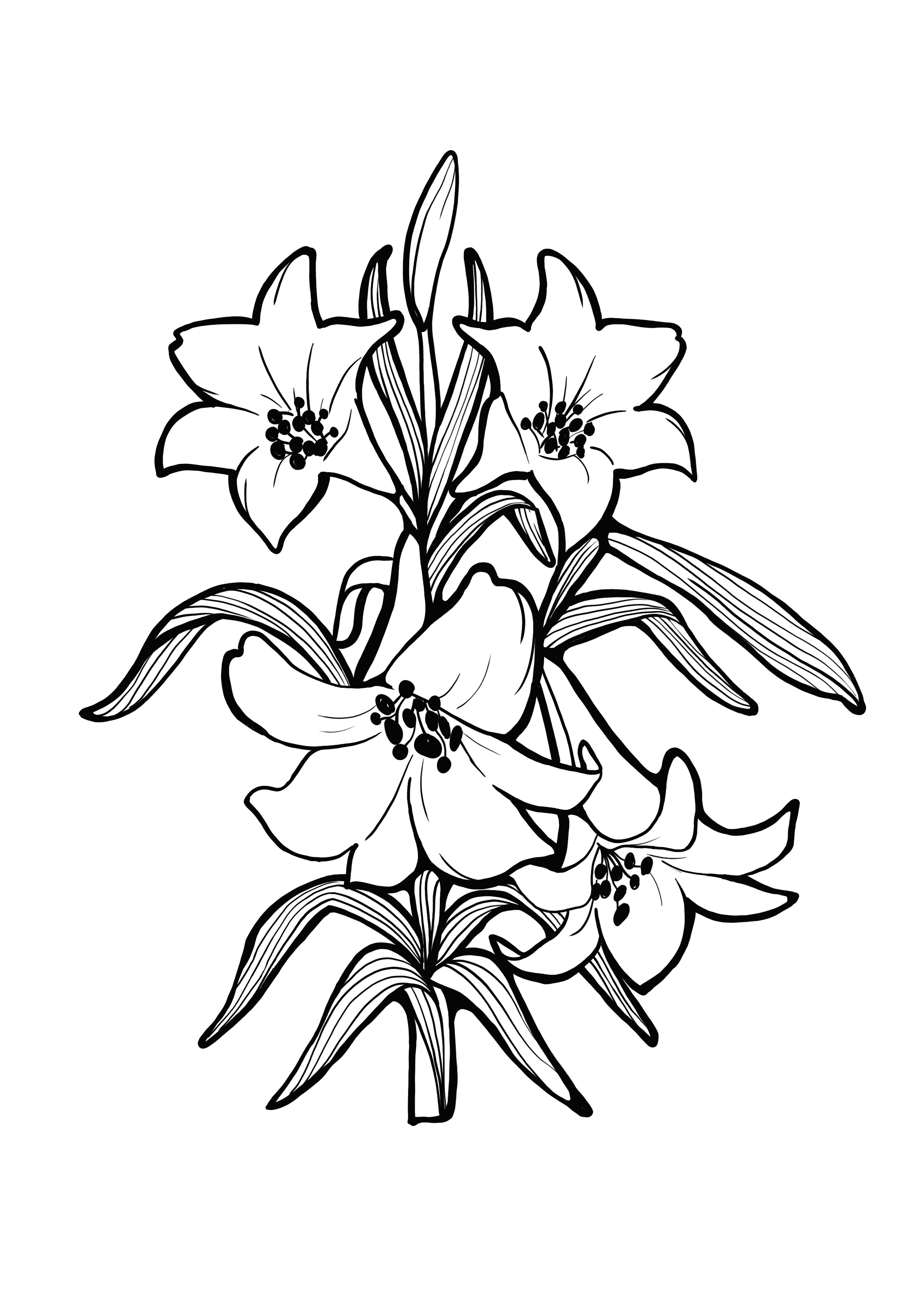 vanilla flower to color-free printable