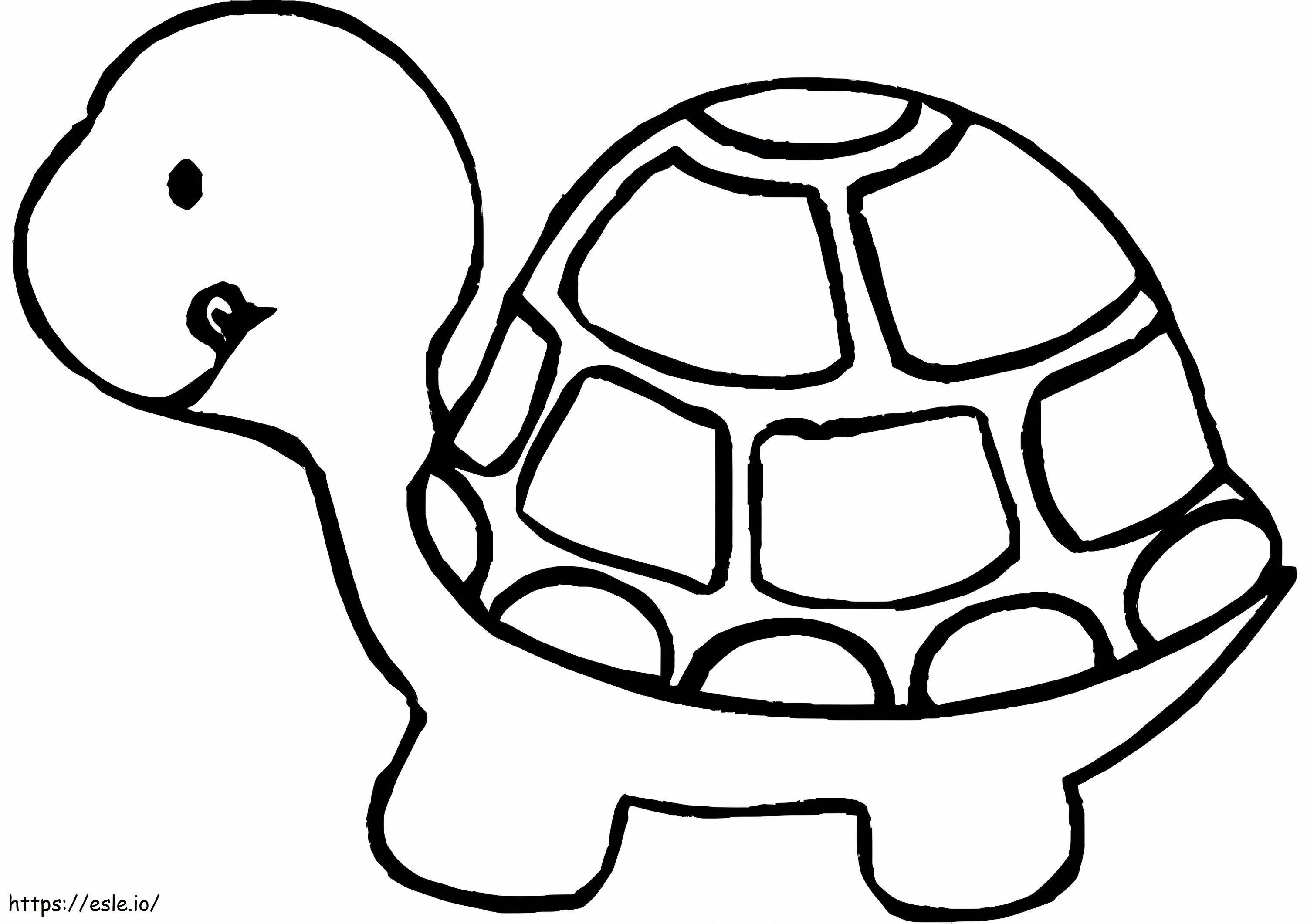 Cute Pet Turtle Coloring coloring page