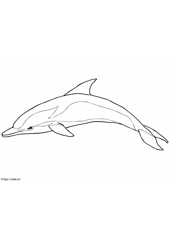 Delfinul dungat de colorat