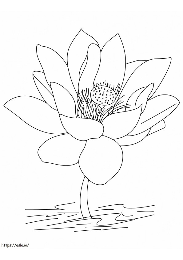 Coloriage Grand Lotus à imprimer dessin