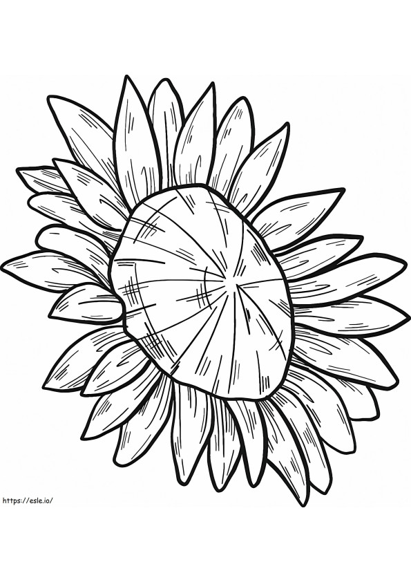 Print Sunflower coloring page