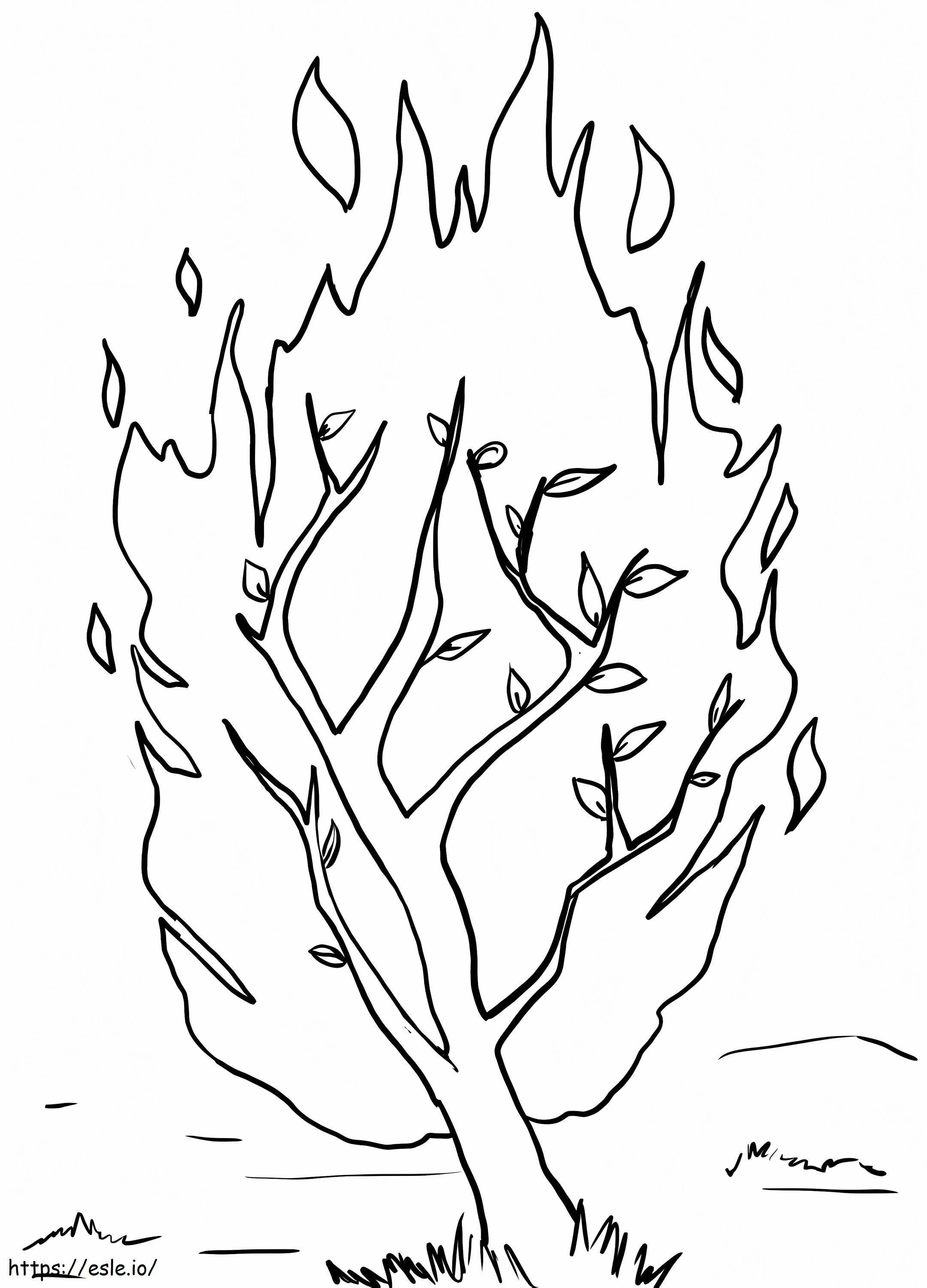 Burning Bush 11 coloring page