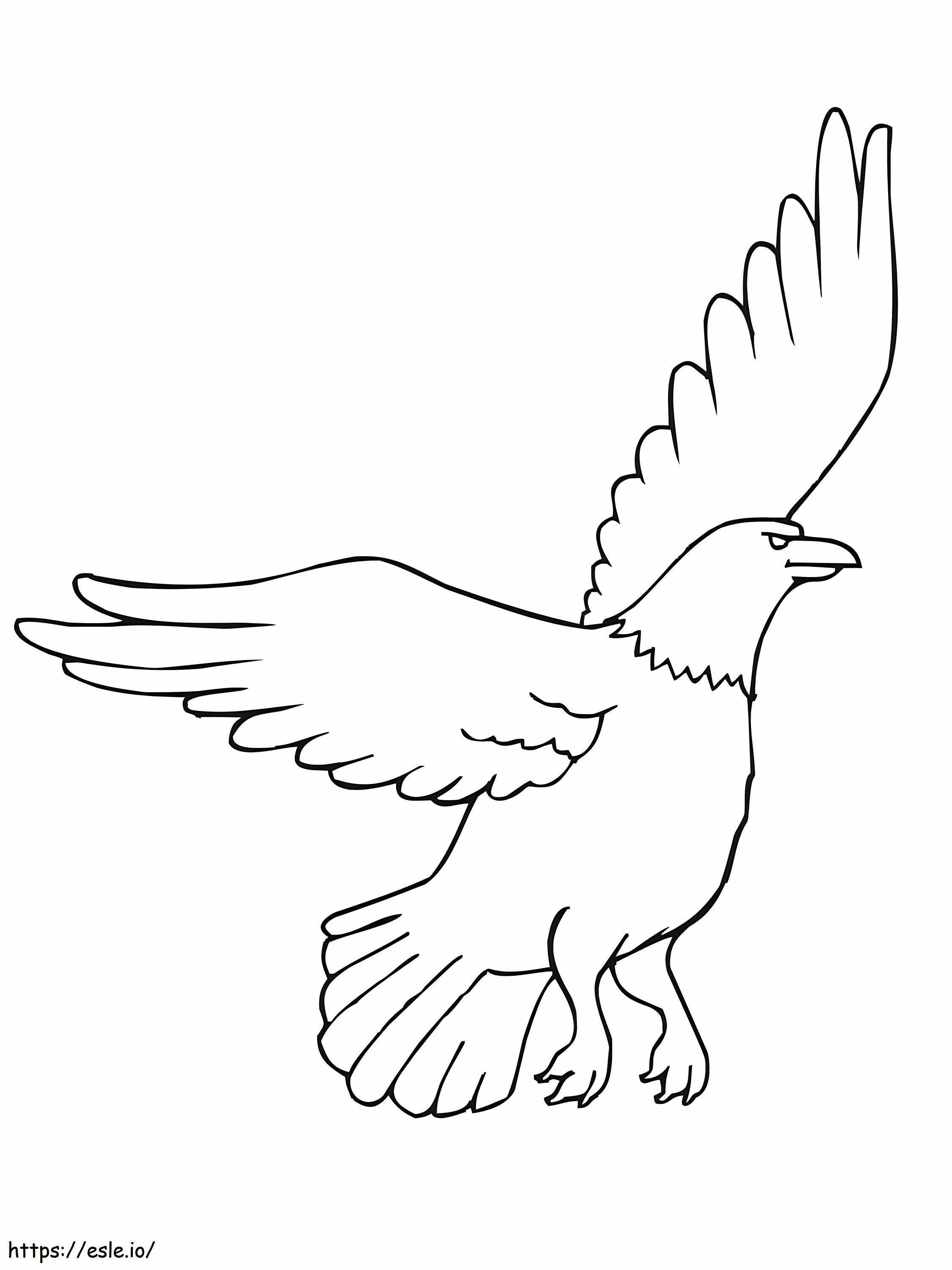 vultur american de colorat