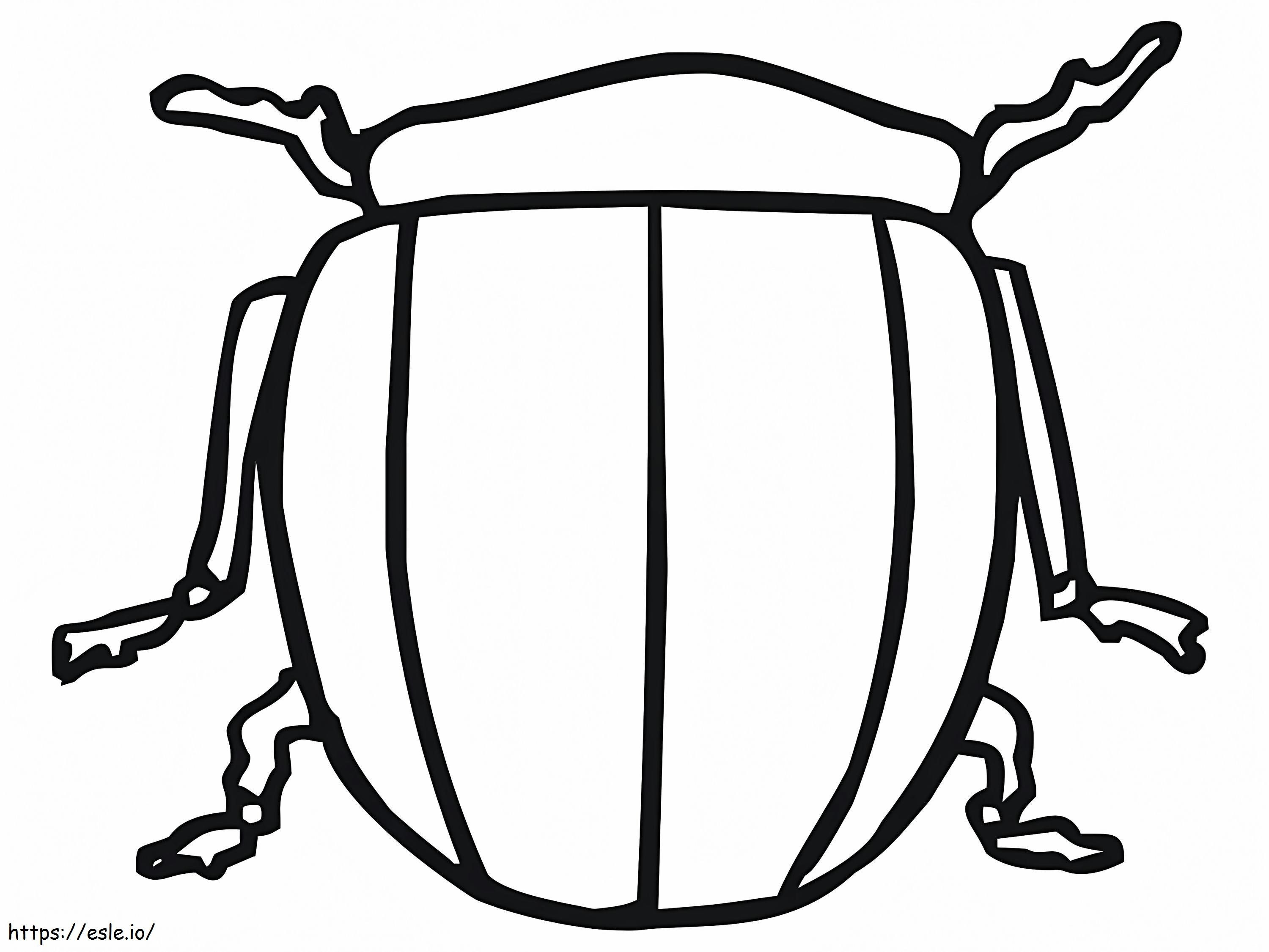 Kumbang Colorado Gambar Mewarnai