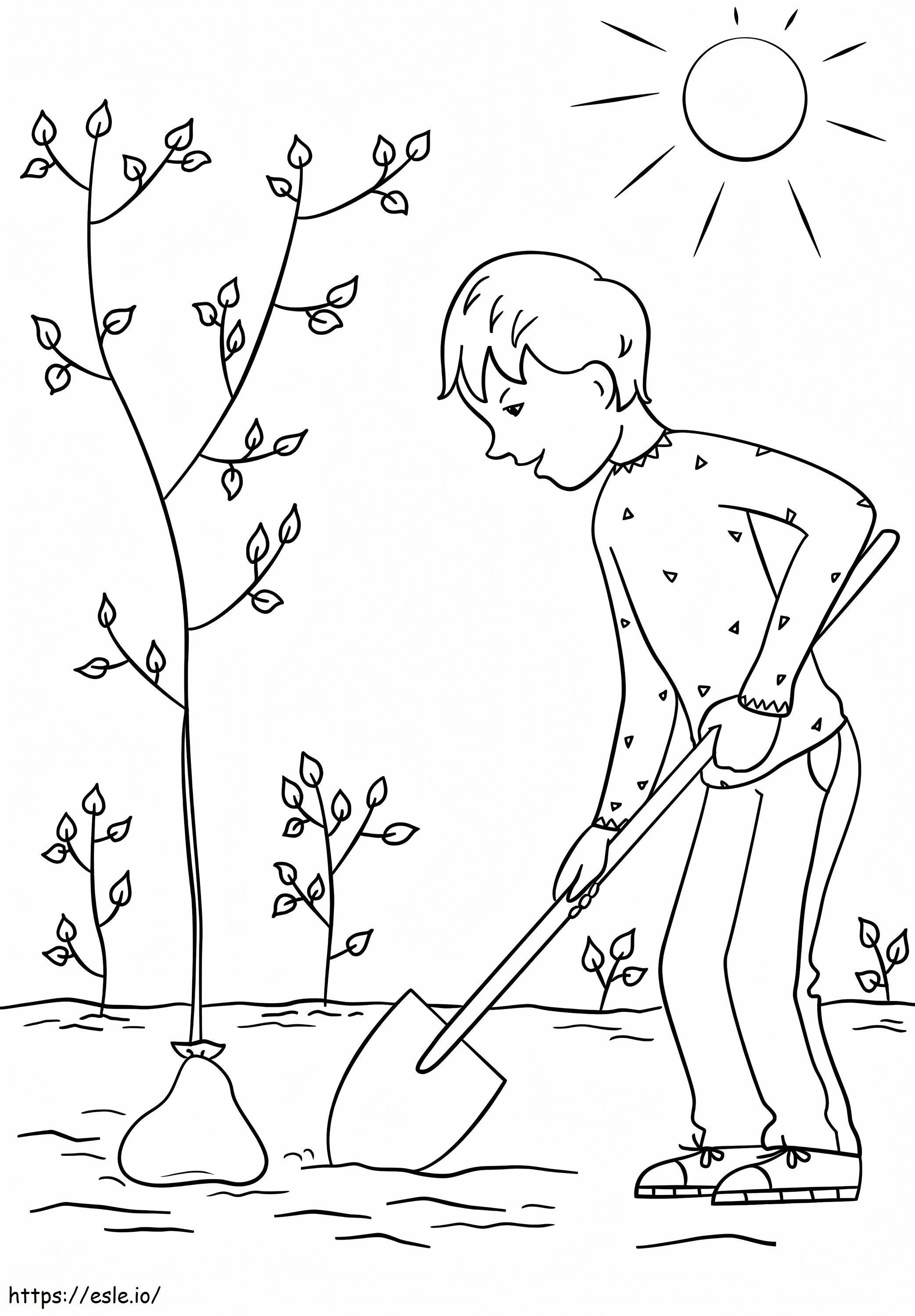 木を植える少年 1 ぬりえ - 塗り絵