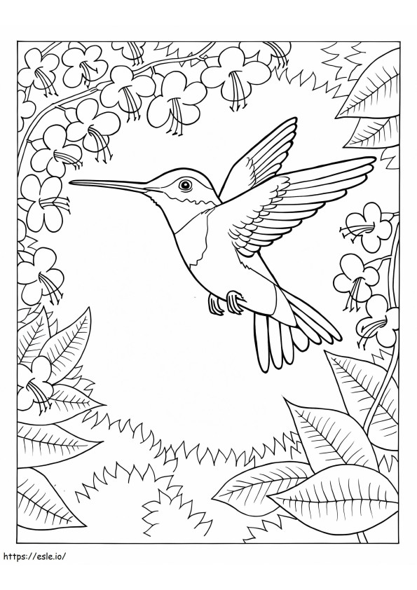 Hummingbird Dengan Bunga Dan Daun Gambar Mewarnai