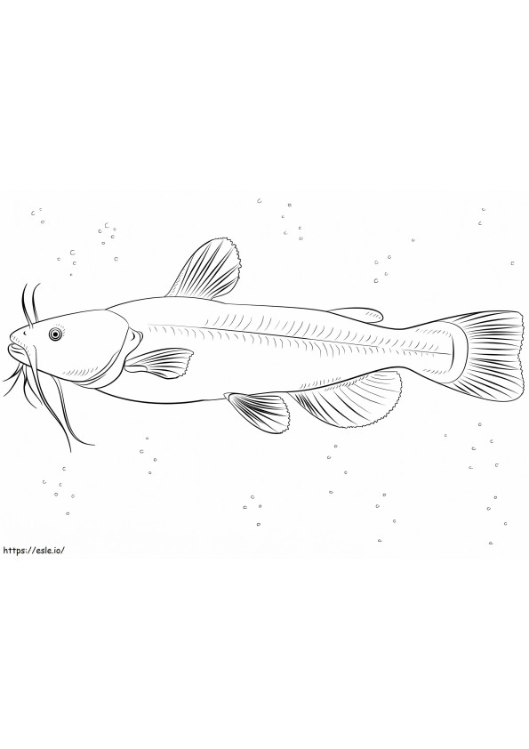 Bullhead yayın balığı boyama