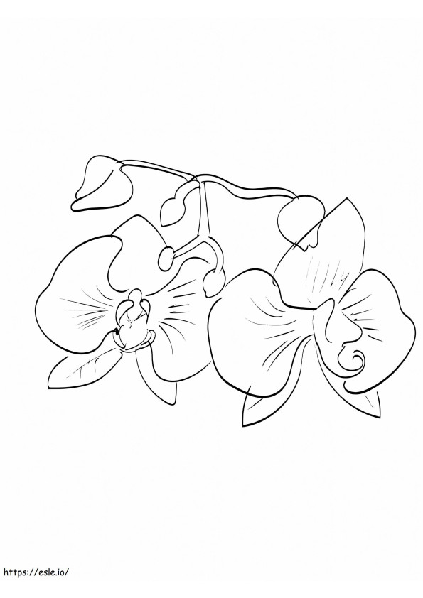 Easy Orchid coloring page