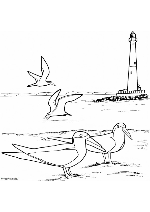 Seagulls And Lighthouse coloring page