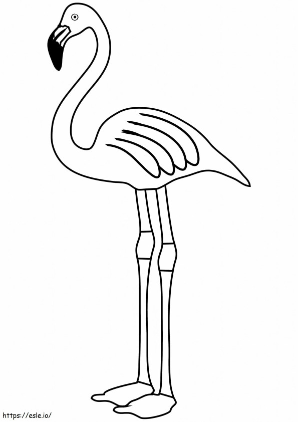 Flamingo para colorir