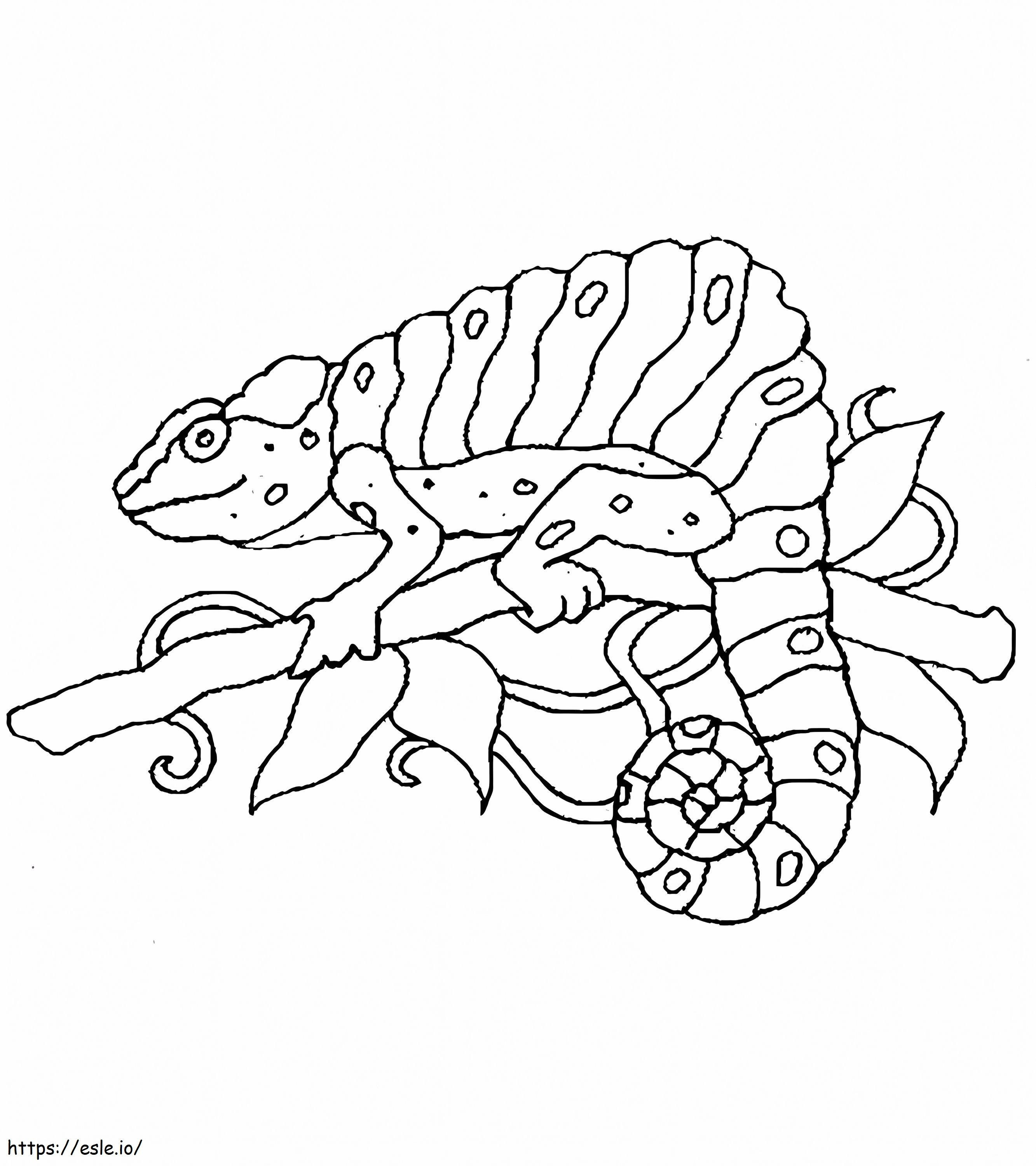Simple Chameleon coloring page