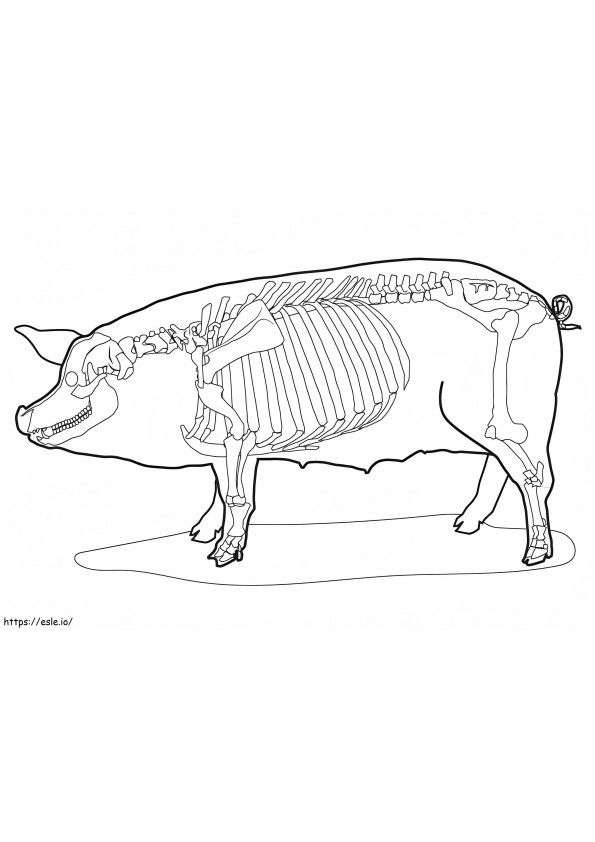 60 coloring page