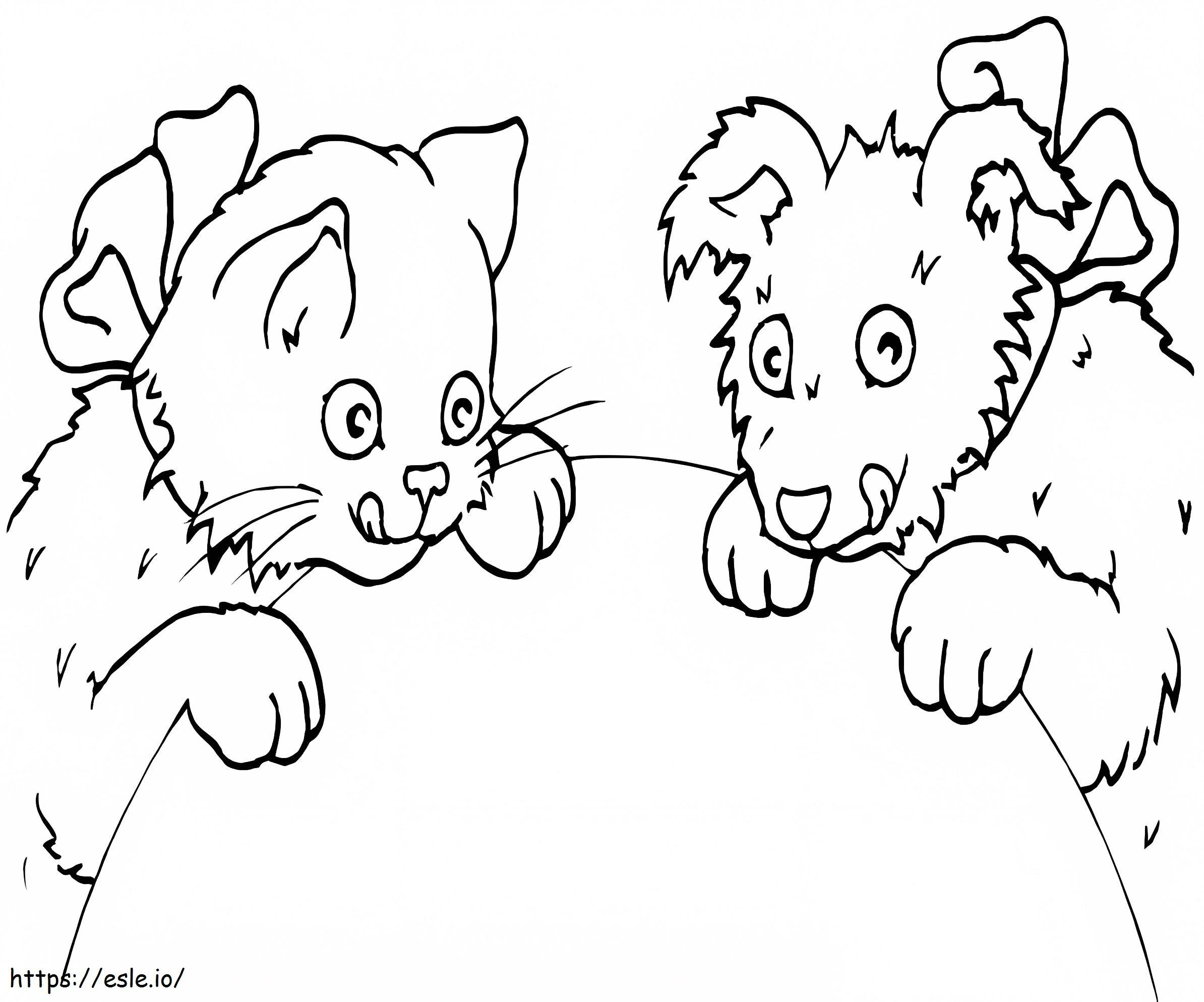 Coloriage Chien et chat drôles à imprimer dessin