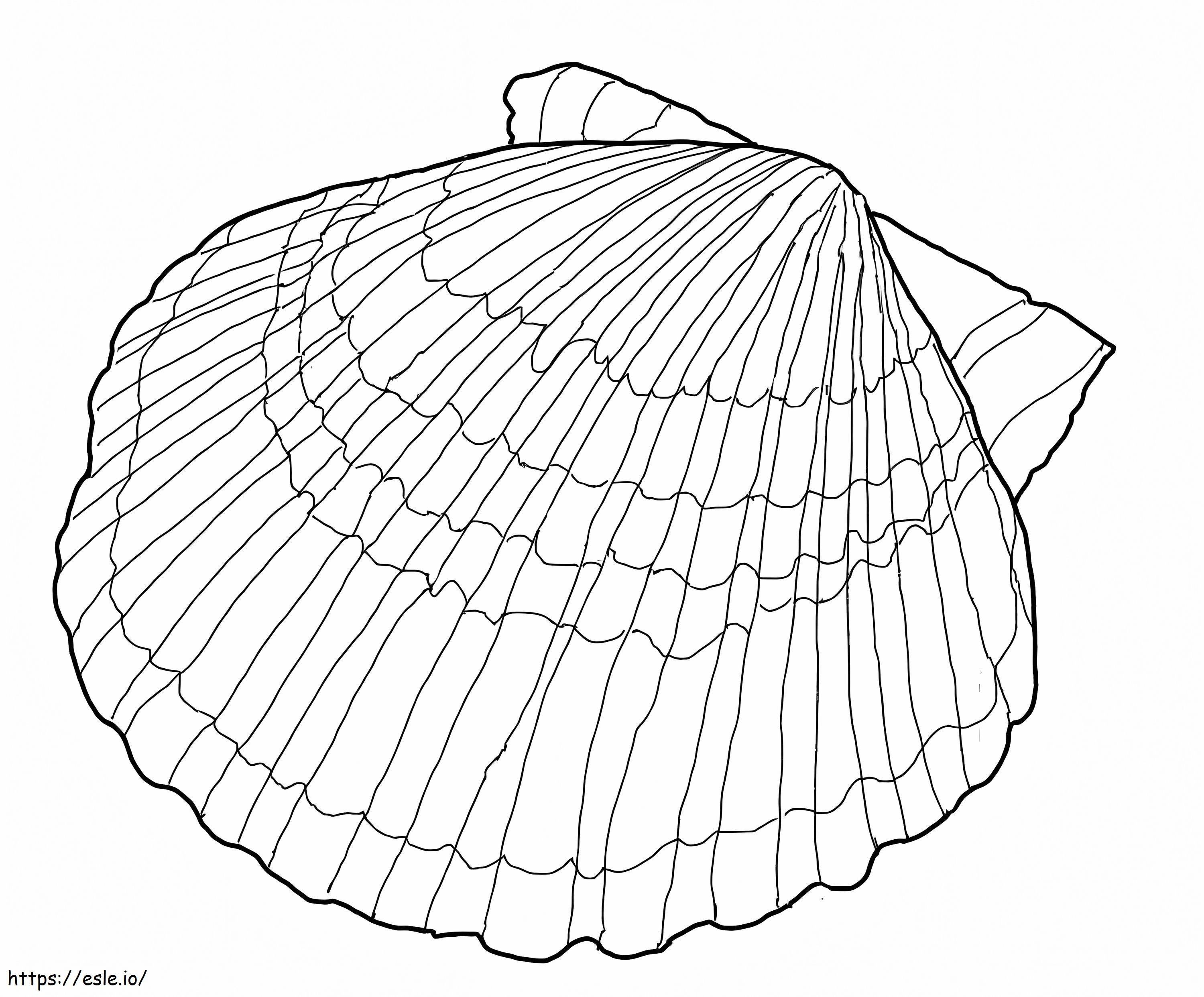 Scallop Shell coloring page