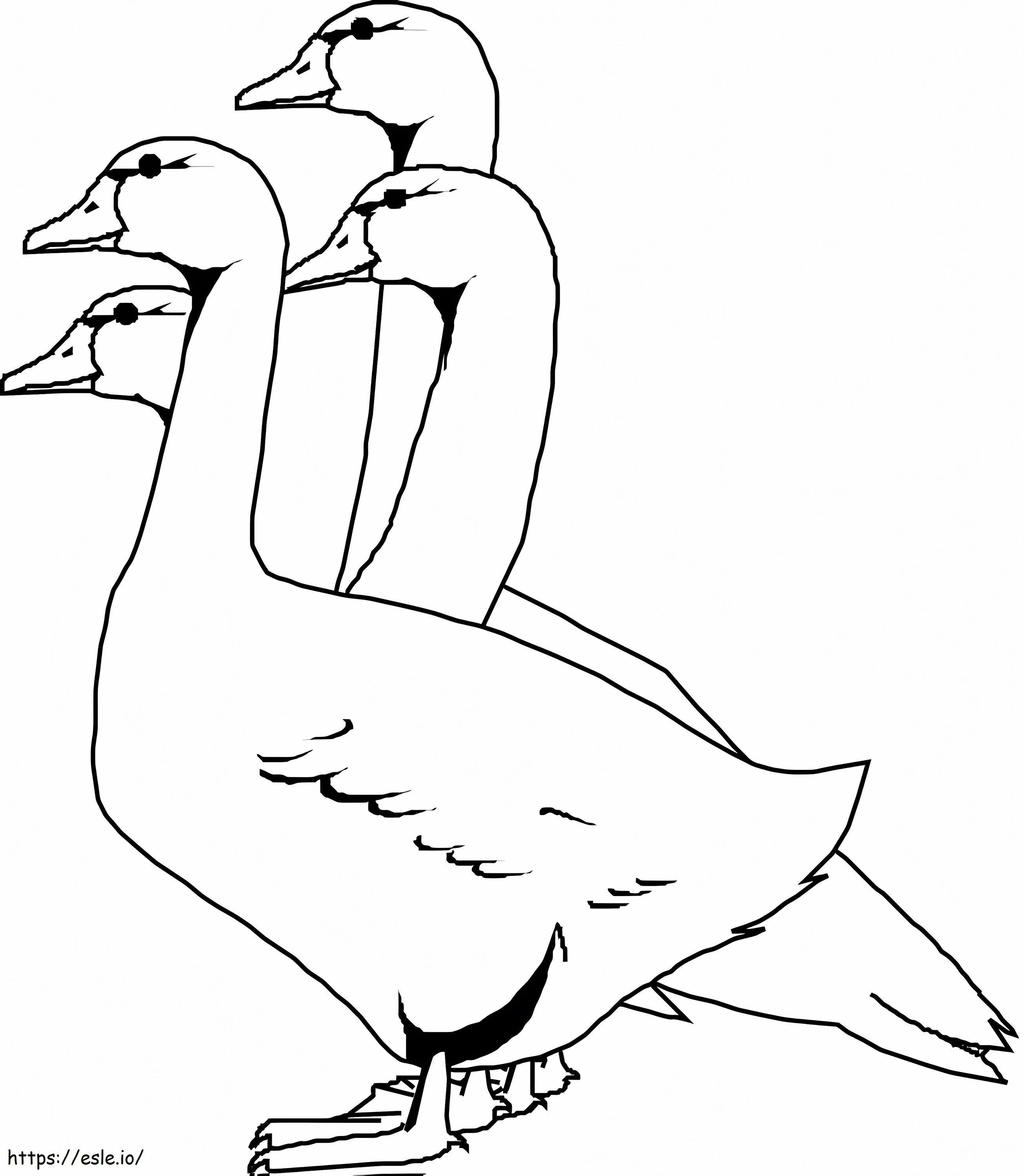 Four Geese coloring page