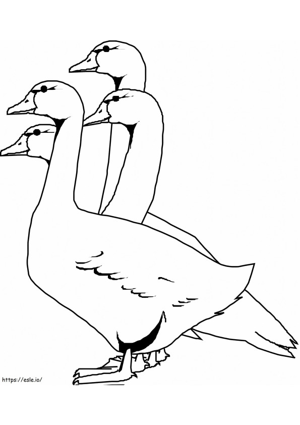 Four Geese coloring page