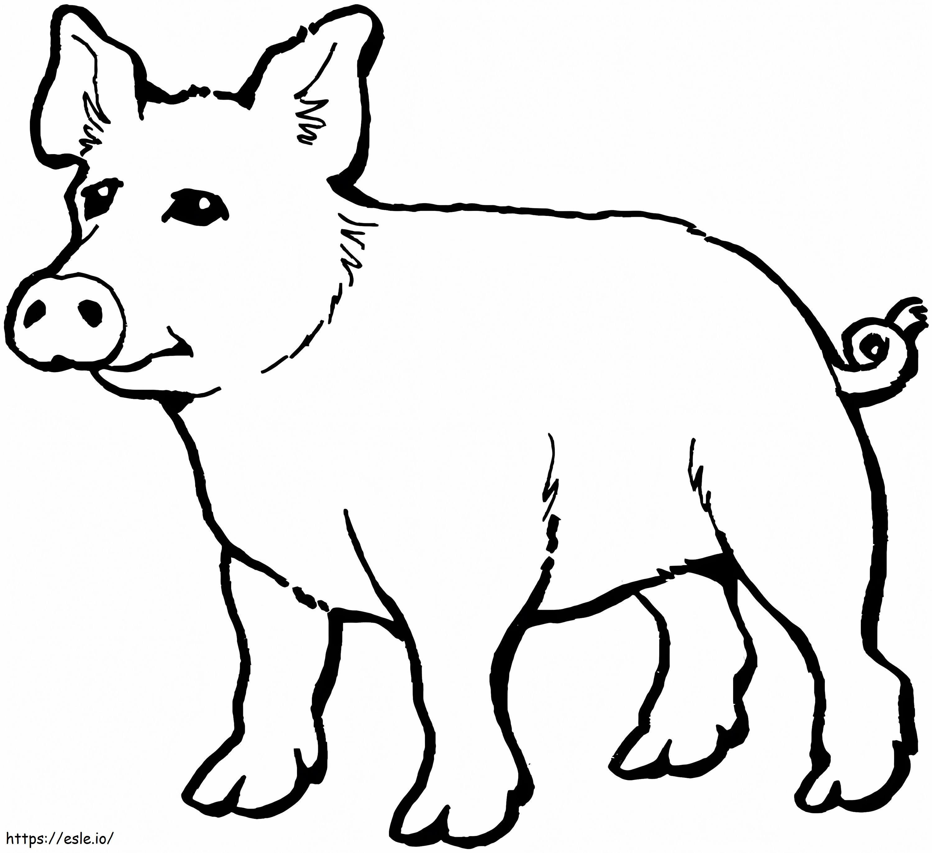 Normaali sika värityskuva
