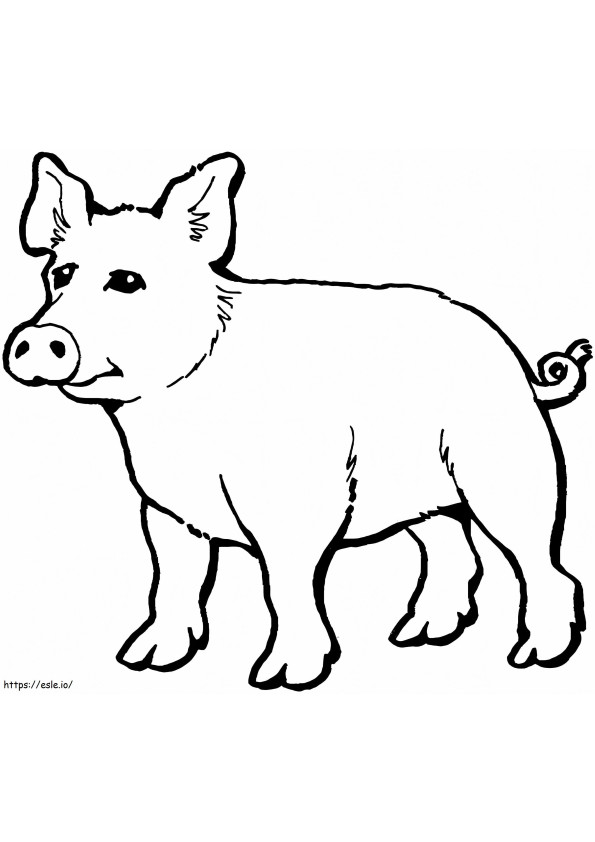 cerdo normal para colorear