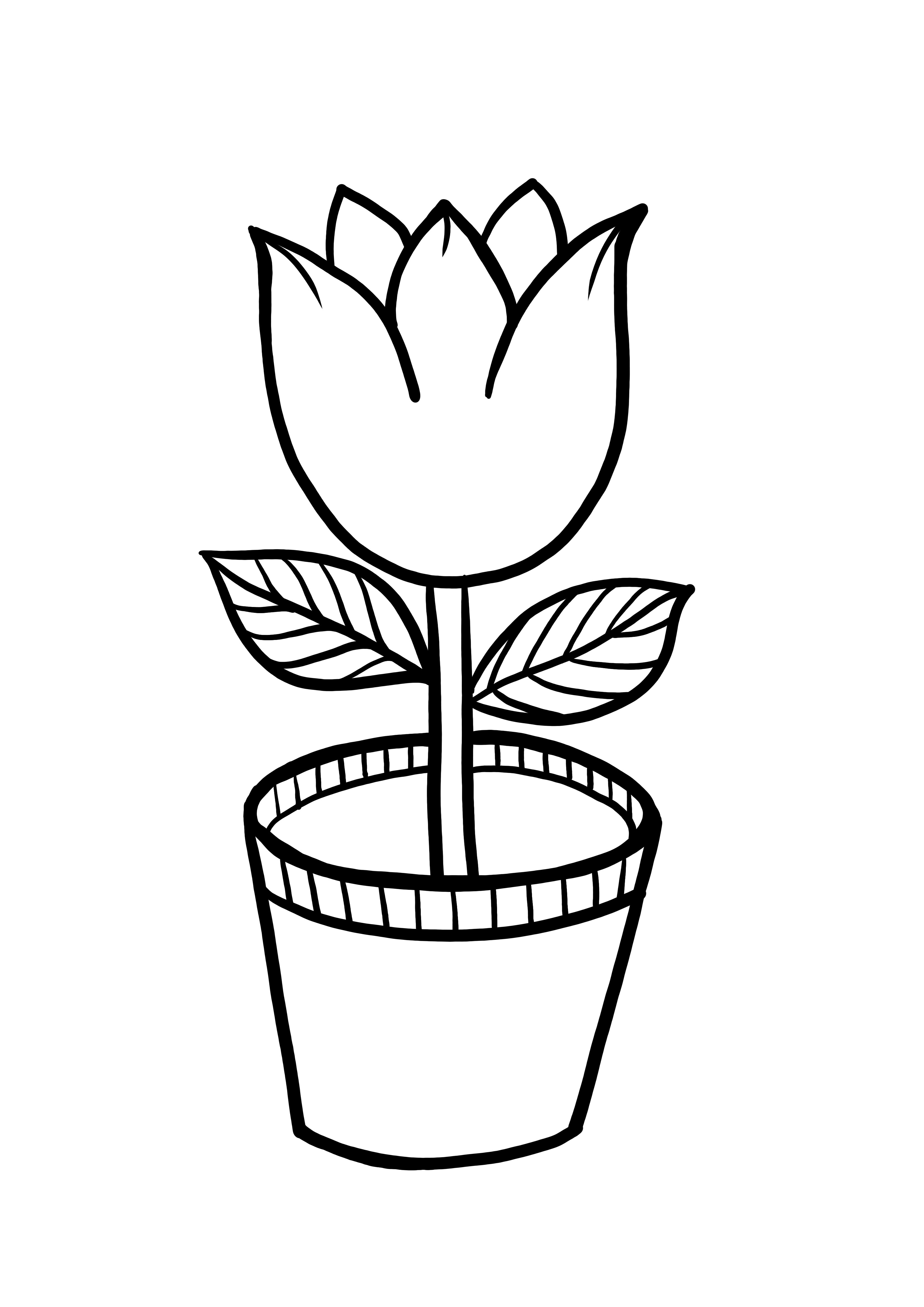 plant in a pot to color and print for free
