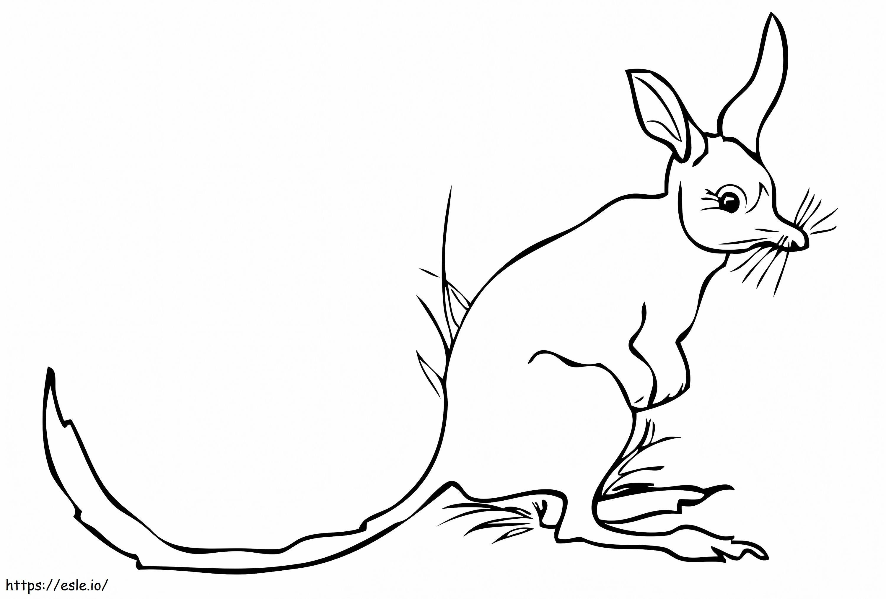 Greater Bilby coloring page