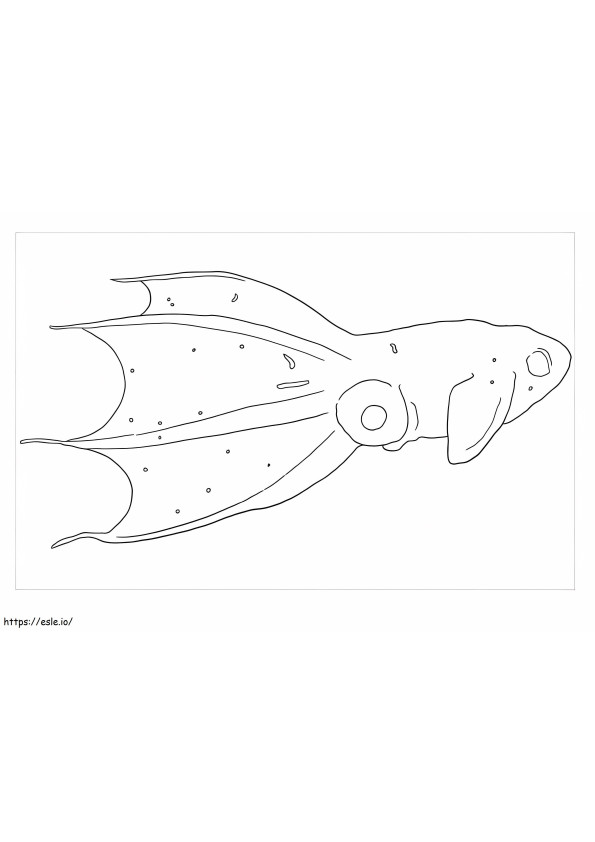 Printable Squid coloring page