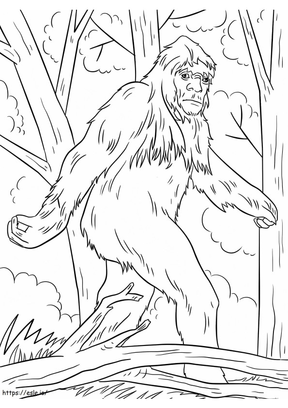 Bigfoot Misterioso 3 coloring page