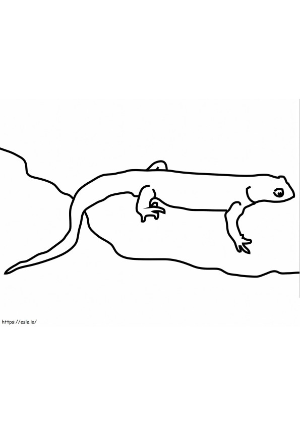 California Newt coloring page